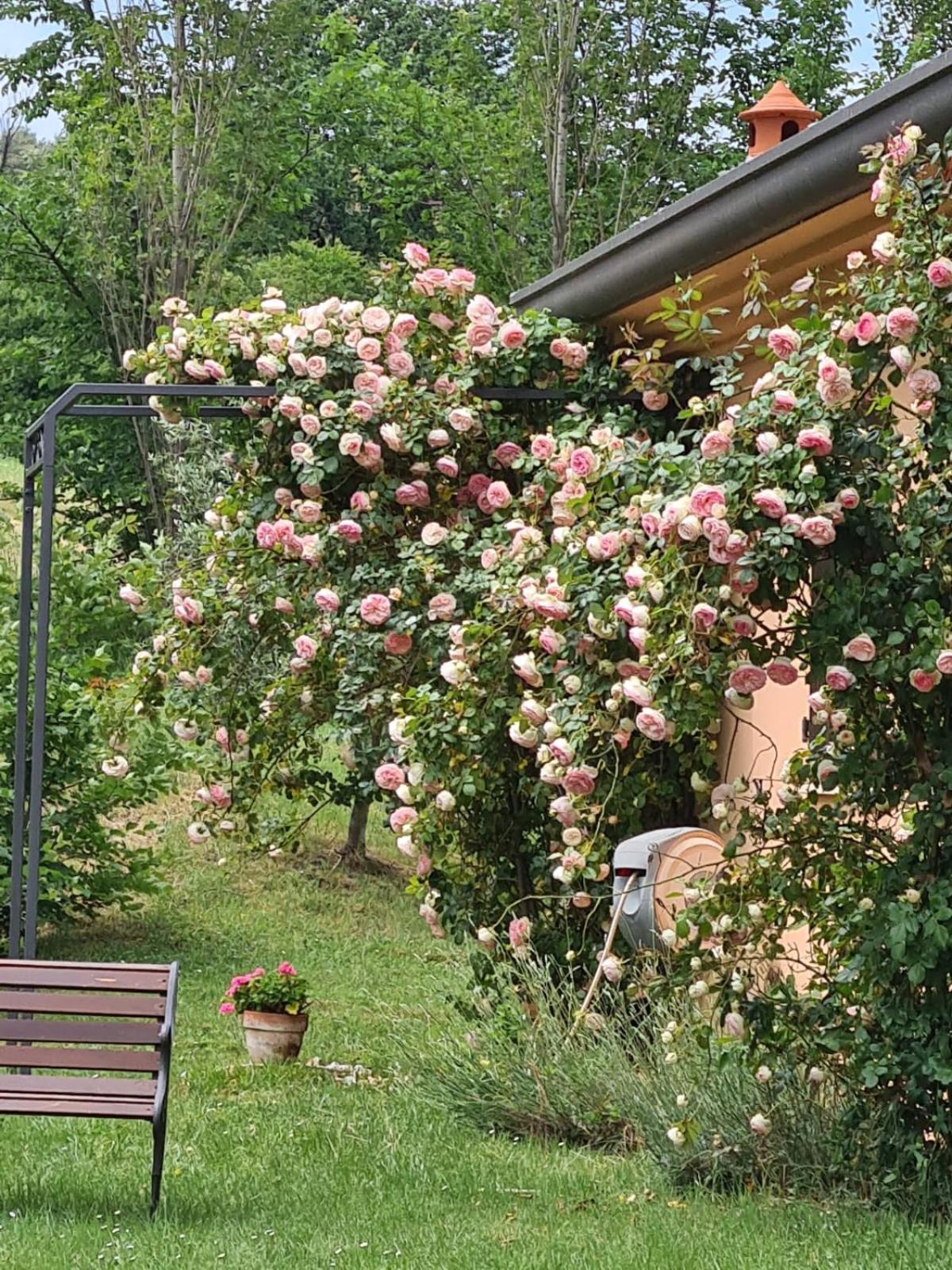 B&B Rosaverde Mulazzano 外观 照片